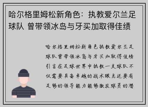 哈尔格里姆松新角色：执教爱尔兰足球队 曾带领冰岛与牙买加取得佳绩