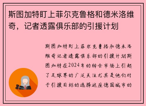 斯图加特盯上菲尔克鲁格和德米洛维奇，记者透露俱乐部的引援计划
