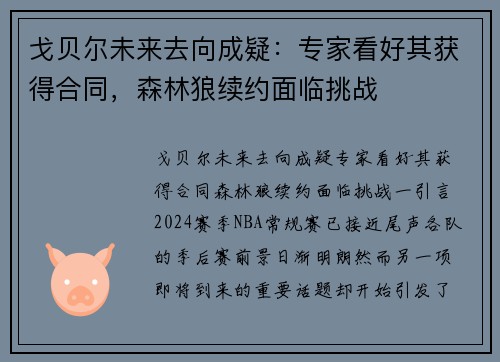 戈贝尔未来去向成疑：专家看好其获得合同，森林狼续约面临挑战