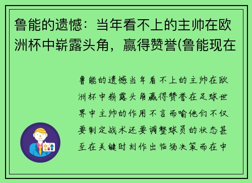 鲁能的遗憾：当年看不上的主帅在欧洲杯中崭露头角，赢得赞誉(鲁能现在的主帅是谁)